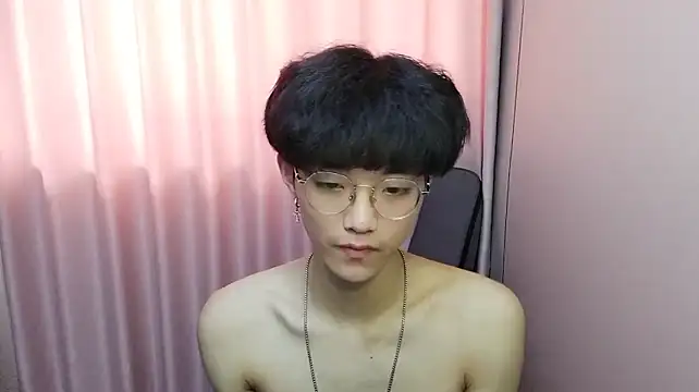 wssoo11 webcam