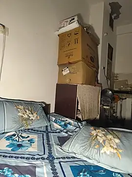 bhabhi-devar-sex webcam
