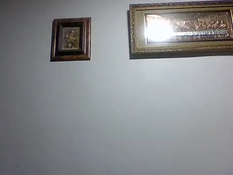 Frank06039CL webcam