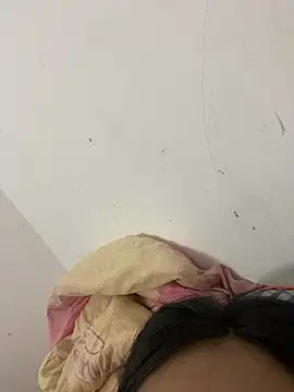 Pixi99 webcam