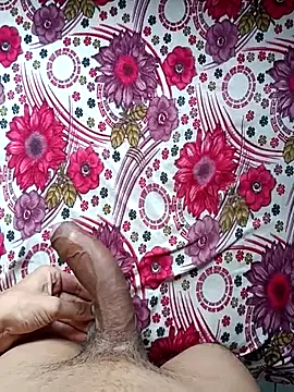 Desi_lund10
