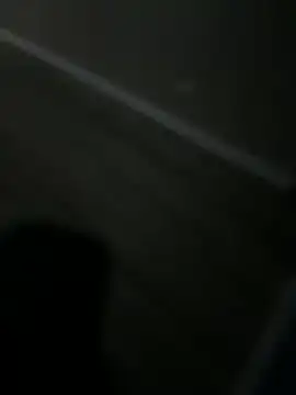 Bear2323 webcam