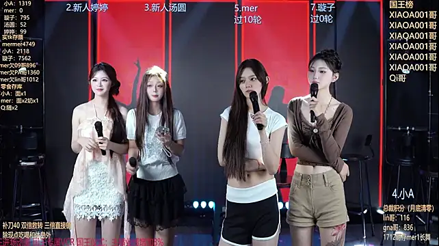 SK010 webcam
