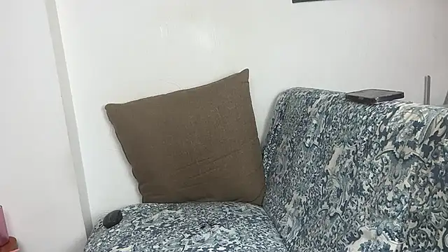 velvetvista webcam