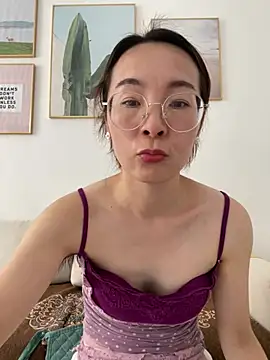 you-520 webcam