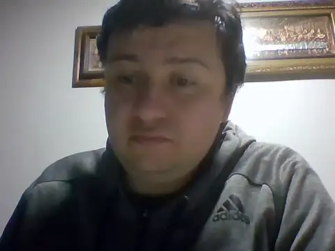 Frank06039CL webcam