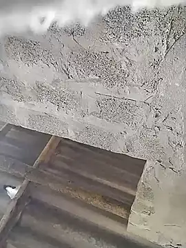 Magnolia_99 webcam
