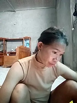 Dian-9 webcam