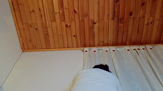 Blueberry_gothic live cam on StripChat