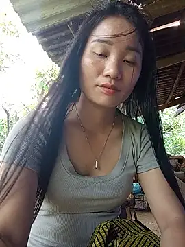 Td3di webcam