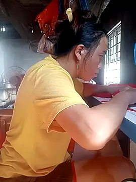 phuongtrinh1 webcam