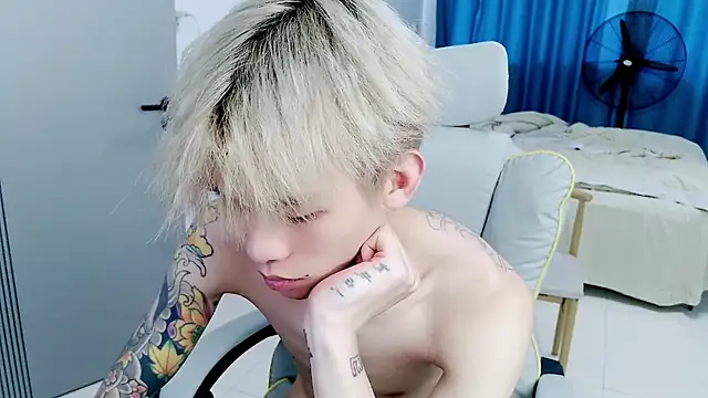KPL-11 webcam