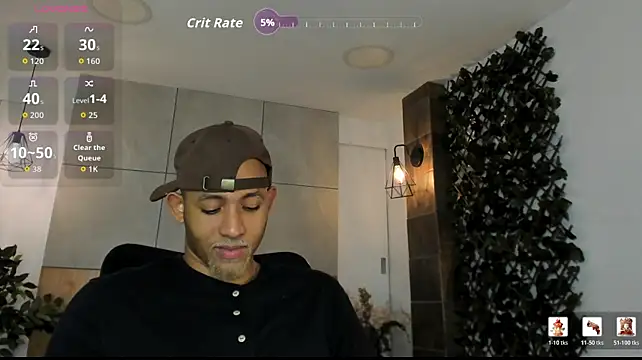 B_Wild webcam