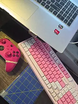 LordSpunFun webcam