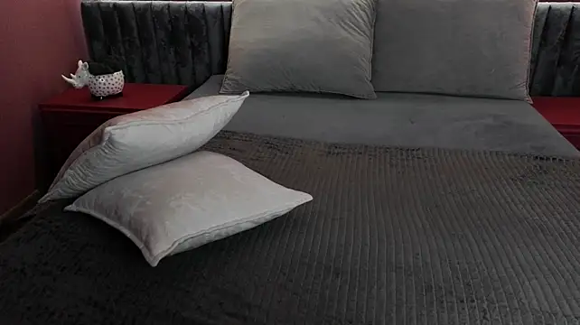 AdonBev webcam