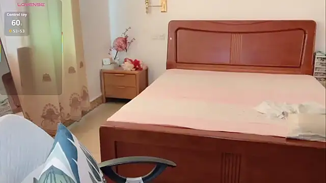 Linda-LL webcam