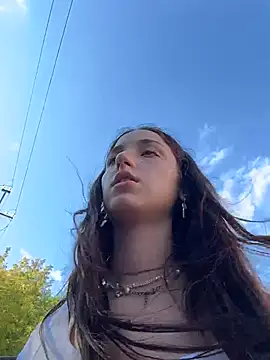 DollyTall webcam