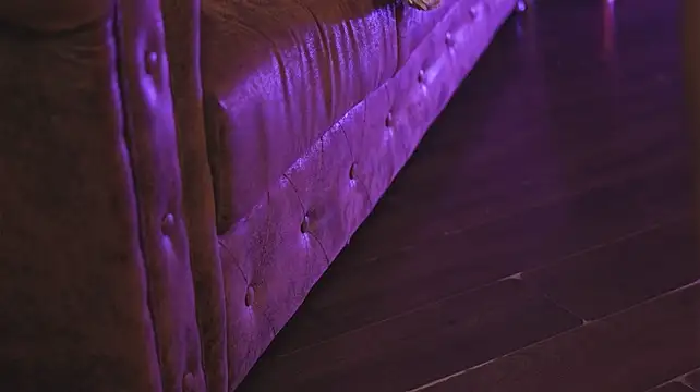 LuxenNoir webcam