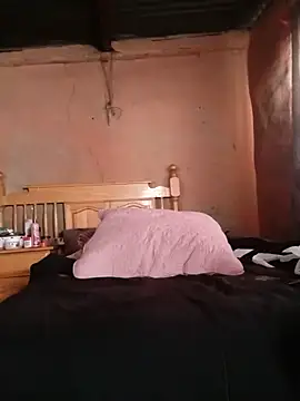 mptxl webcam