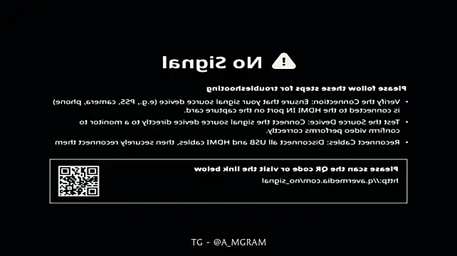 disco_elysium webcam