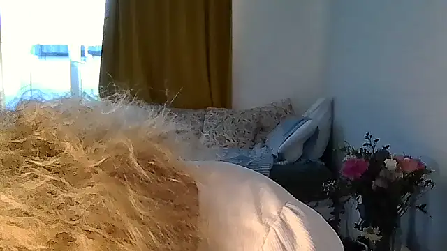 belgianshantie webcam