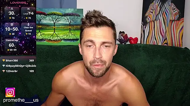 Promethe_us webcam