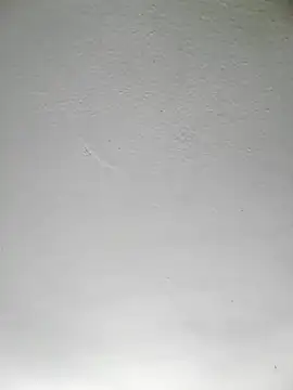 mariusSingur webcam