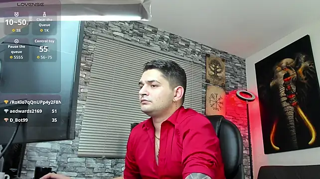 Nicolas_Fellener webcam