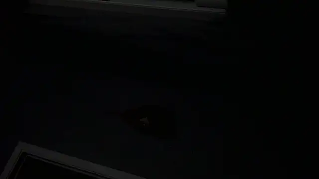 spunncumer webcam