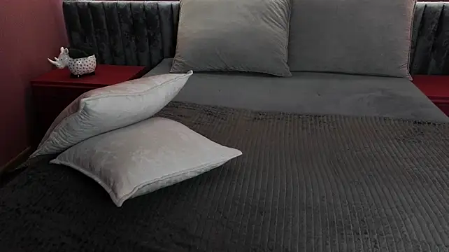 AdonBev webcam
