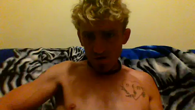 stich_wants_babmi webcam
