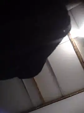 spicycouplex webcam