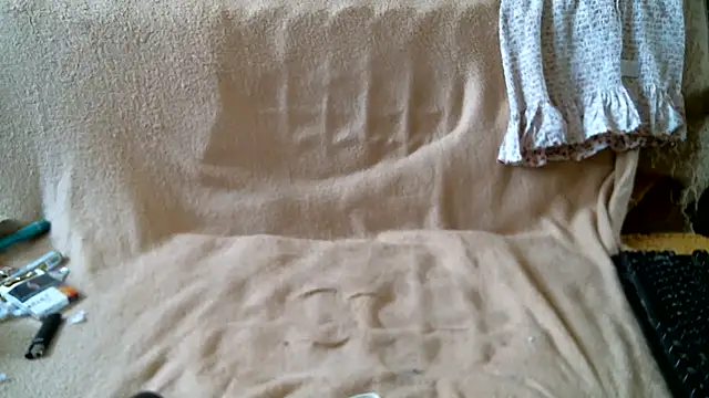 DennisXCaroll webcam
