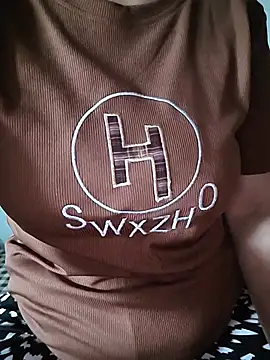 phnz webcam