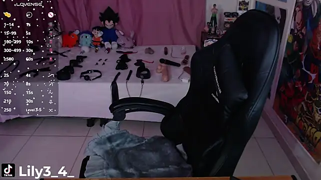 lily3_4 webcam