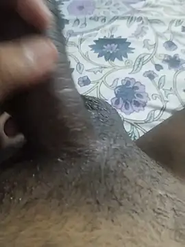 desi_pb02 webcam