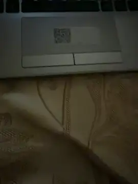 Sexyfemm_ webcam