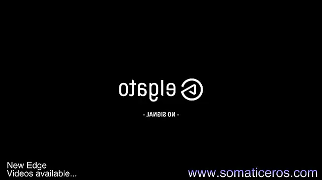 somaticeros webcam