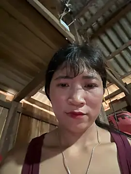 Viery68 webcam