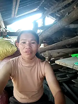 Dian-9 webcam