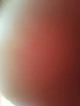 Picagrnau