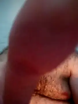 big__bearrr webcam