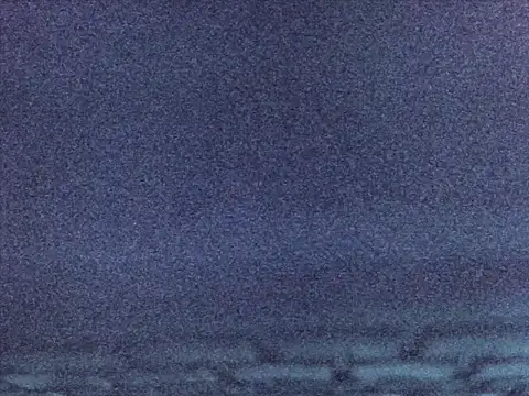 Sugarwhitney webcam