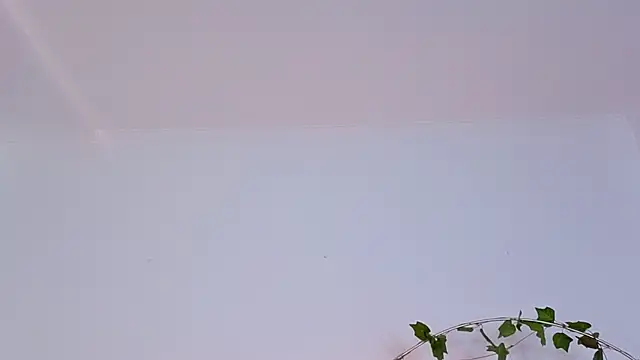 Miless_Cooper webcam