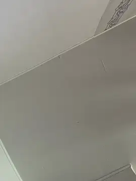 archi9999 webcam