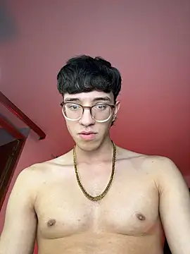 ArthurDaviess21 webcam