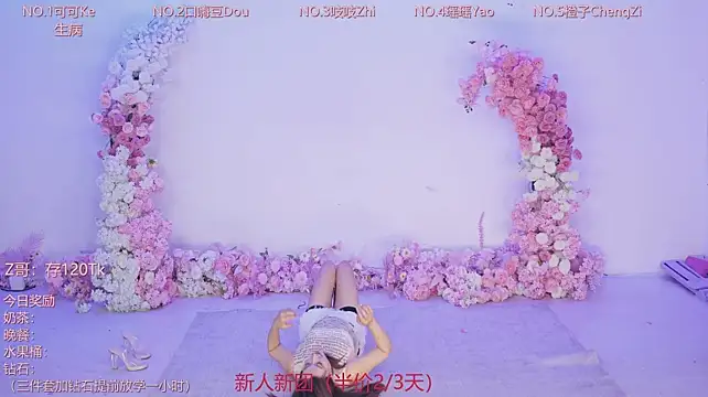 CJL-101 webcam