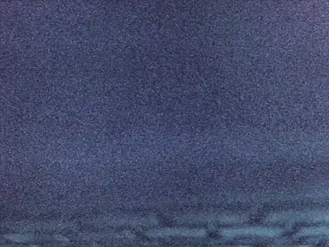 Sugarwhitney webcam