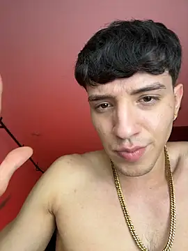 ArthurDaviess21 webcam