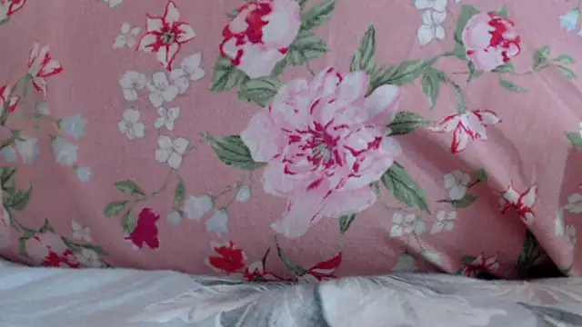 Anabelldestiny webcam